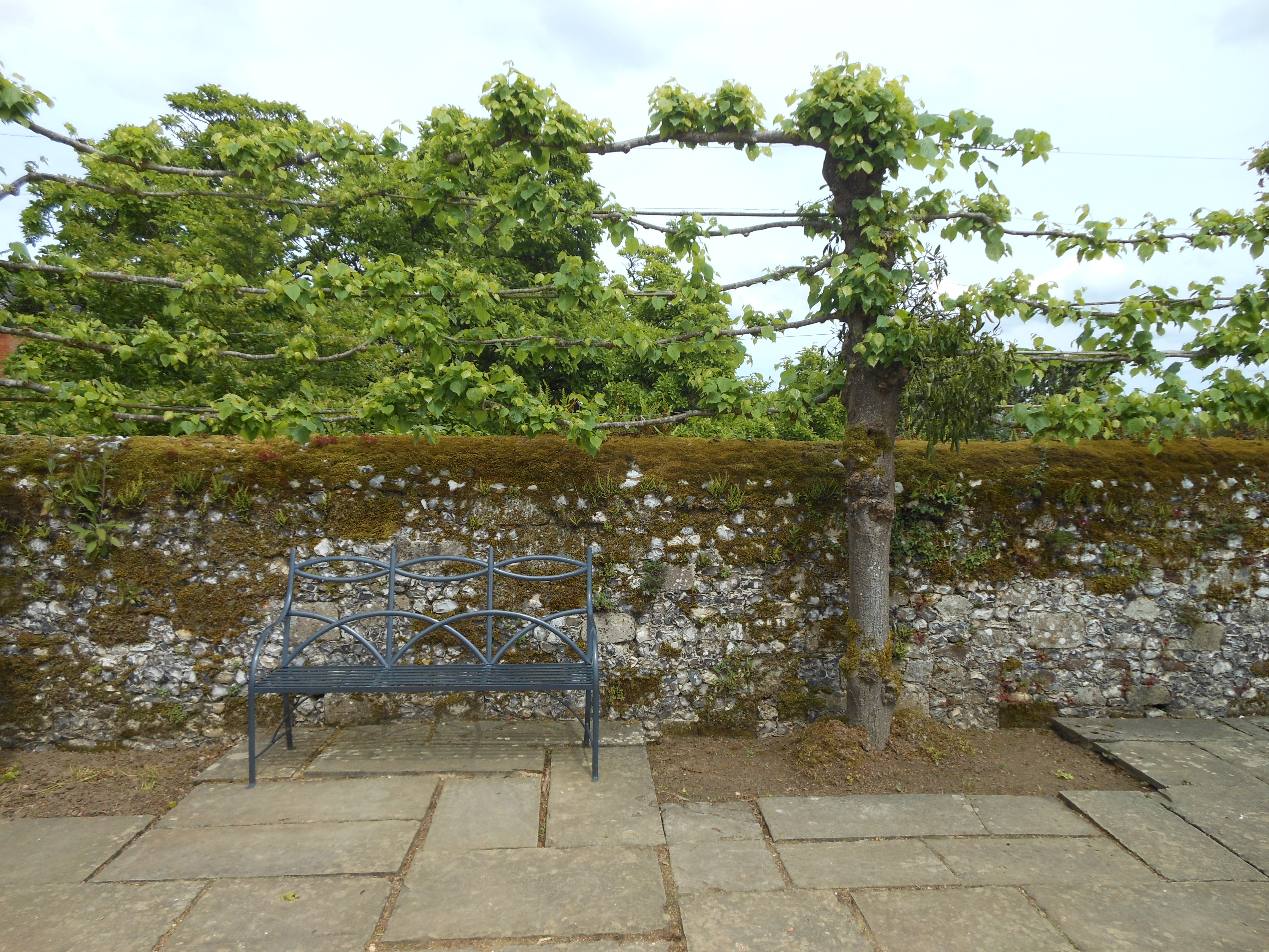 August Craft Sunflower